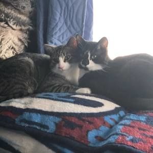 Meet your Posher, Brenda